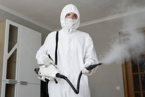 Best Forensic Mold Investigation  in Craigsville, WV